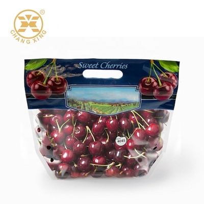 100g 500g Kuru Meyve Delikli Paketleme Torbaları Taze Kiraz Stand Up Torbalar Çevre Dostu
