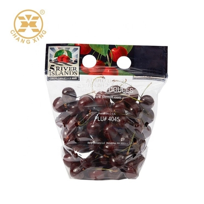 500g Sebzeler Açılıp Kapanabilir Stand Up Poşet Torbalar Kuru Meyve Ambalaj Kılıfı Fermuarlı Üst
